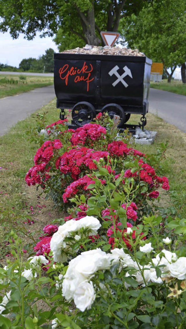 Rot-Wei blhen die Rosen im Breitenweg Buggingen.   | Foto: Umiger