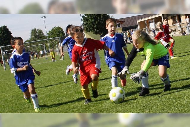 Kleine Ballknstler hatten groen Spa beim Kicken