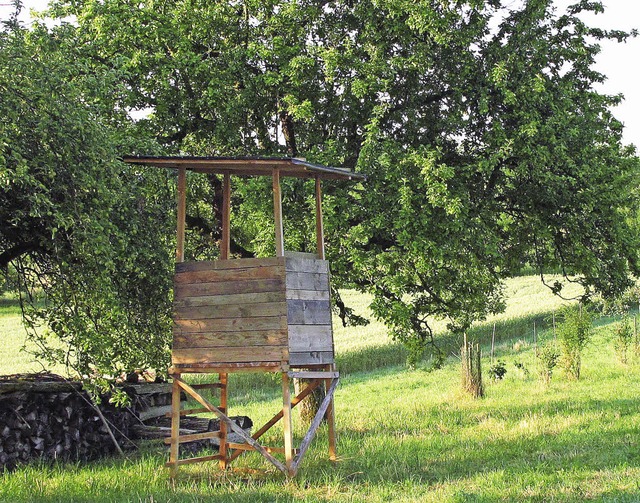 Streuobstwiese bei Mappach  | Foto: Jutta Schtz