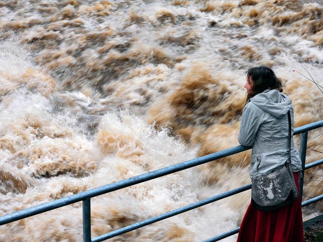 Hochwasser in der Dreisam  | Foto: Thomas Kunz