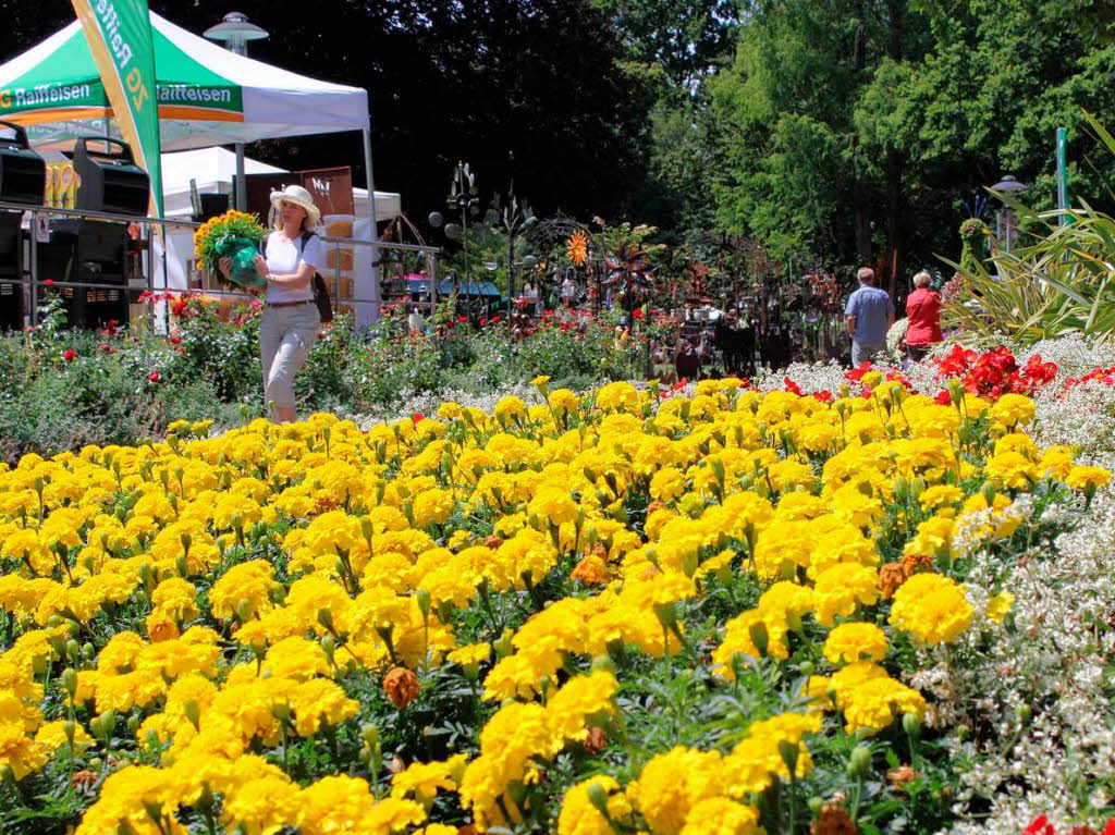 Noch bis Sonntag, 29. Juni, dauert das Gartenfestival im Kurpark.