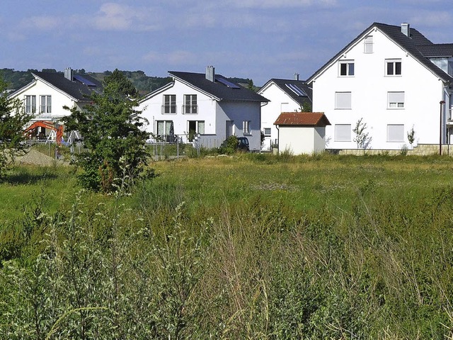 Wo bislang in Breisach zwischen Vogese...en, soll bald neues Bauland entstehen.  | Foto: Claudia Mller