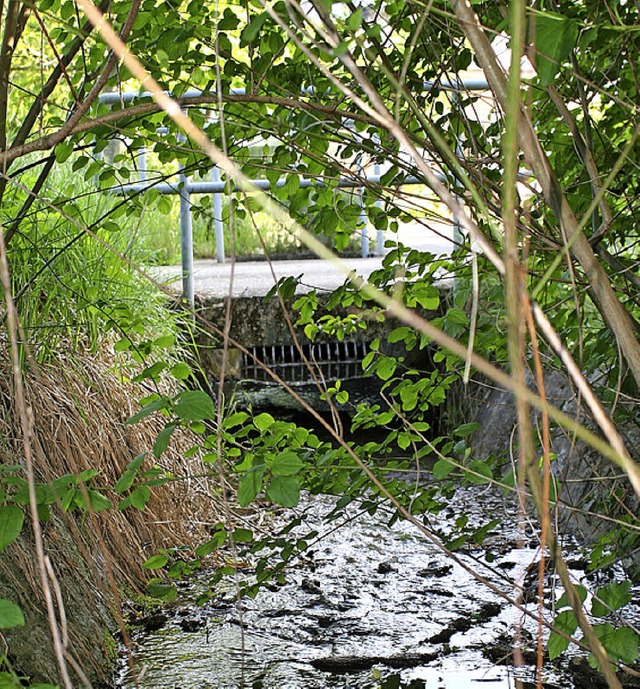 An dieser Stelle verschwindet der Ried...ach am Fischinger Mattenberg  im Rohr.  | Foto: cremer