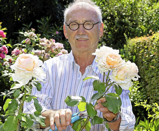 Reinhold Horsch schneidet in seinem Garten Rosen.   | Foto: Peter Heck