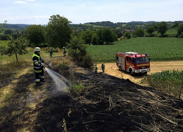 Schneller Einsatz begrenzt Schaden: Di...m einen greren Flchenbrand lschen.  | Foto: Feuerwehr Herbolzheim