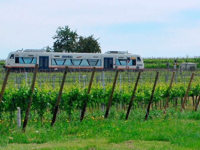 Am westlichen Kaiserstuhl werden die D...iven bald der Vergangenheit angehren.  | Foto: Benjamin Bohn