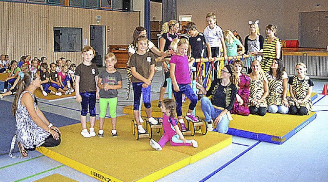 Junge Sportler beim Turnen unter dem Motto &#8222;Zirkus&#8220;   | Foto: Liane Schilling