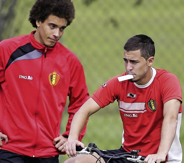 Waren ihren Klubs jeweils 40 Millionen...: Axel Witsel (links) und Eden Hazard   | Foto: dpa