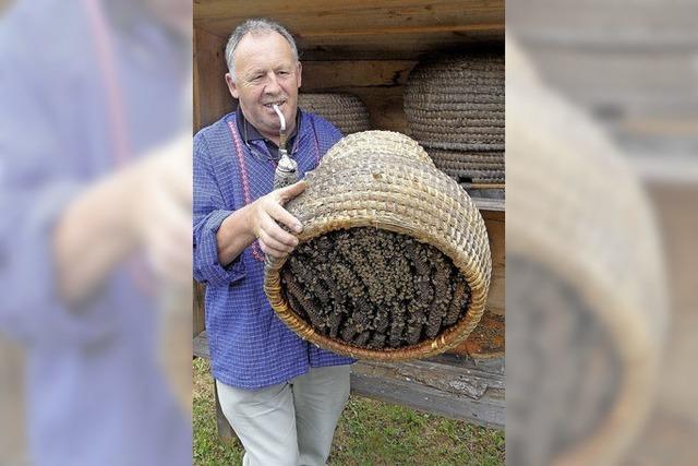 Hochachtung vor Bienen