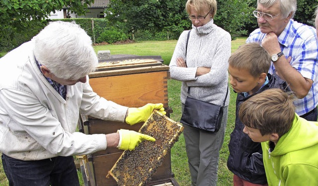 Imker Anton Bertold (links) erklrte K...nen das Innenleben eines Bienenstocks.  | Foto: Jutta Schtz