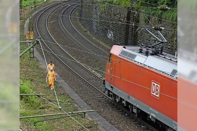 Bahn hat Bedenken wegen Naturschutz