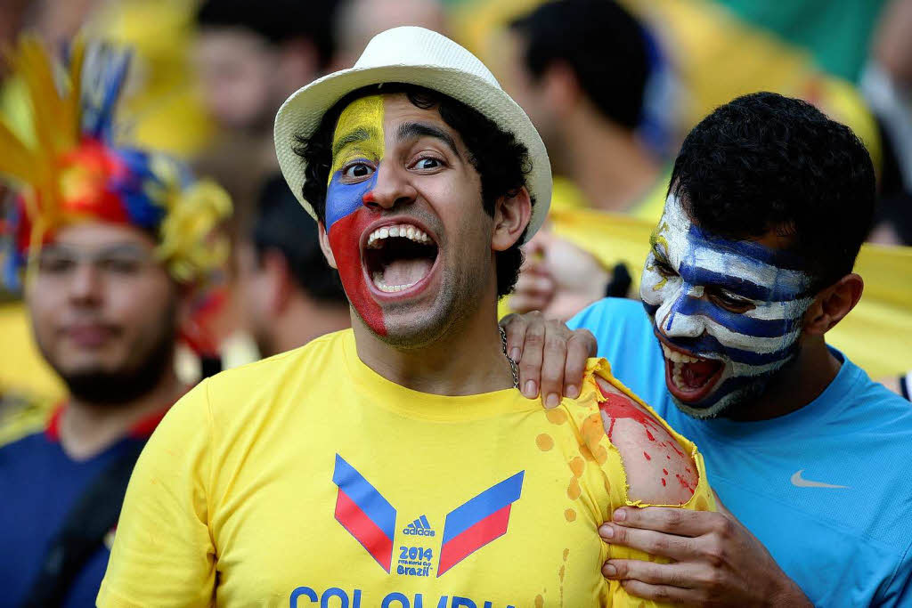 Die lustigsten Fankostme bei der WM in Brasilien