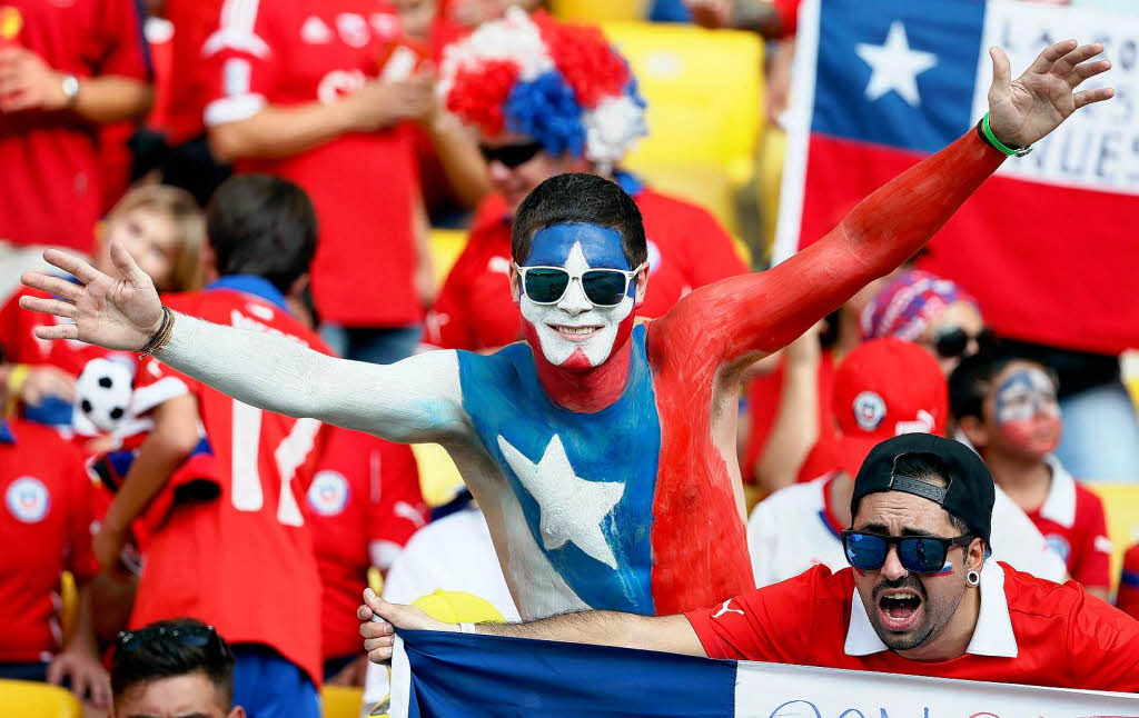 Die lustigsten Fankostme bei der WM in Brasilien