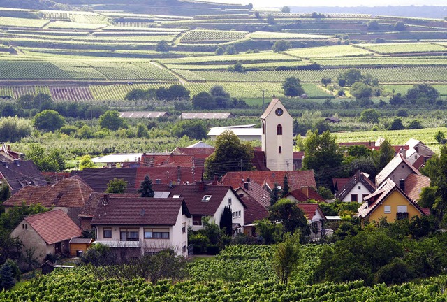 Der Weinbau spielt in  Bischoffingen eine zentrale Rolle.     | Foto: Hans-Peter Ziesmer