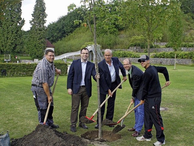 Fnf Mann fr einen Baum: Klaus Baldis...ger Gartenstrandbad eine Sommerlinde.   | Foto: Reinhard Herbrig