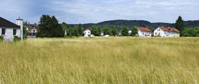 Mit dem Bebauungsplan fr das Solvayar... Areal, auch als Mischgebiet bewertet.  | Foto: Rolf Reimann