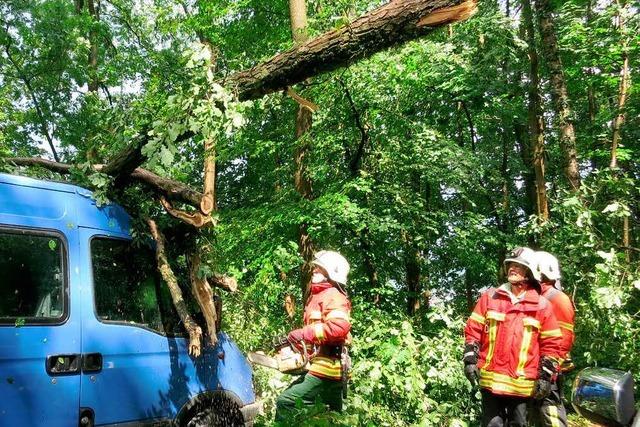 Schweres Unwetter: Baum strzt auf Kleinbus mit 15 Kindern