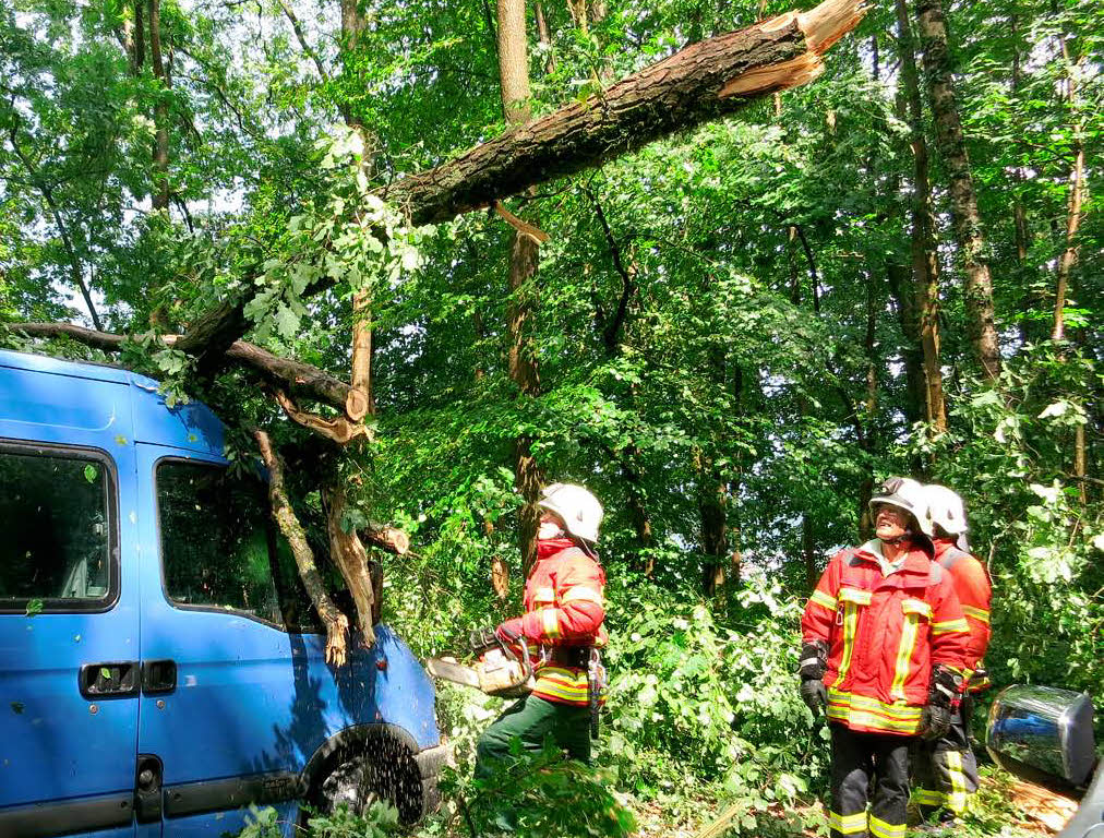 Schweres Unwetter Baum stürzt auf Kleinbus mit 15 Kindern