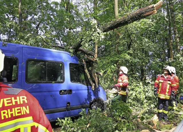 Der vom Baum eingedrckte Bus, in den ...inder vor dem Sturm geflchtet hatten.  | Foto: UTKE
