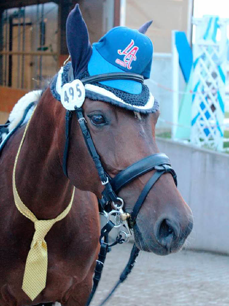 Viva Las Vegas: Eindrücke vom Reitturnier in Schopfheim. Viva Las Vegas: Eindrücke vom Reitturnier in Schopfheim.