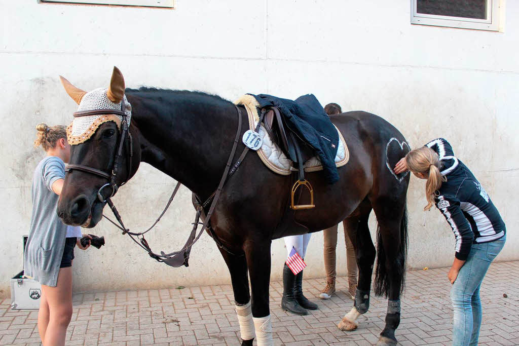 Viva Las Vegas: Eindrcke vom Reitturnier in Schopfheim.