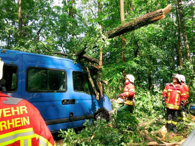 Bei Gewitter: Raus aus dem Wald!  | Foto: Reinhold Utke