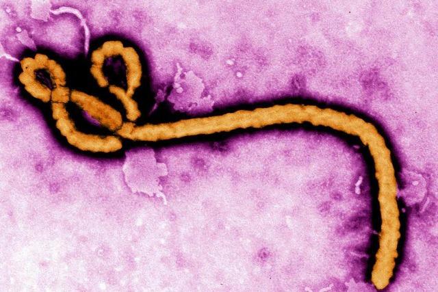 Erster Ebola-Fall in Ghana - US-Brger mit Symptomen
