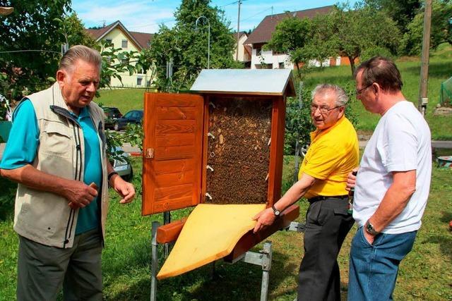 Riesiges Interesse am Leben der Bienen