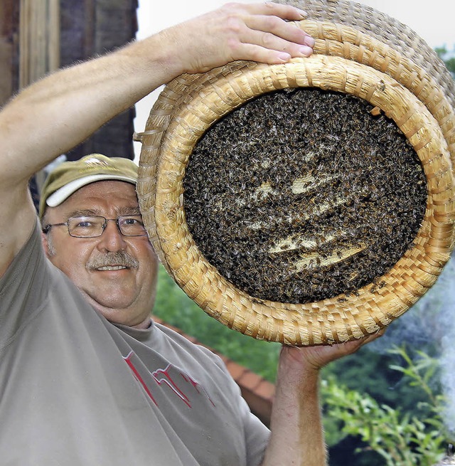 Josef Hug stemmt den schweren Korb, in diesem brummen zirka 25000 Honigbienen.  | Foto: Horst Dauenhauer