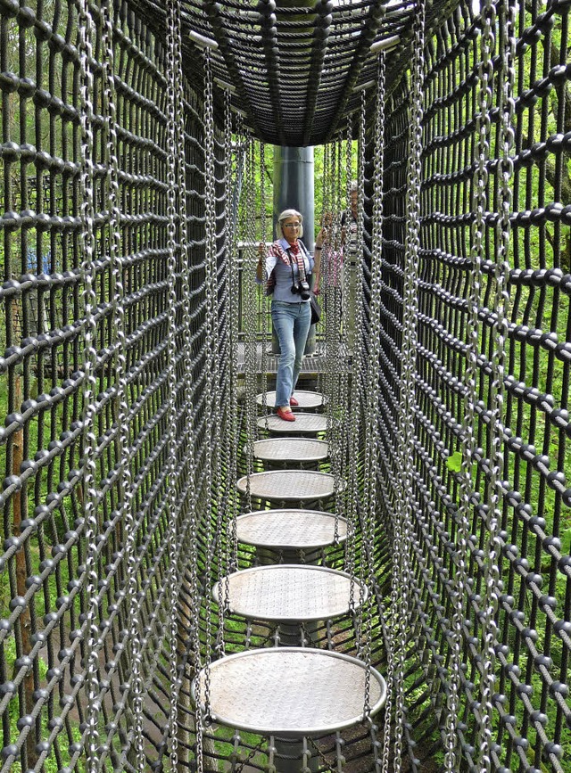 Mutprobe: der Baumwipfelpfad im Biosphrenreservat  | Foto: dpa-tmn