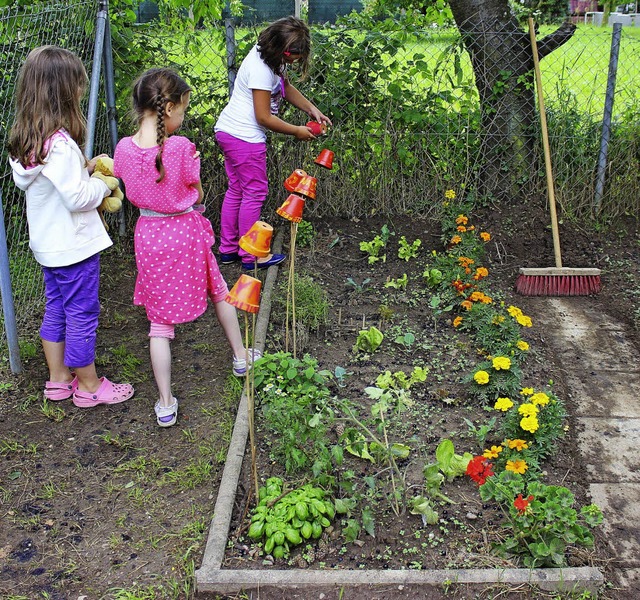 Hellbergschlerinnen am Gartenbeet   | Foto: Antje Gessner