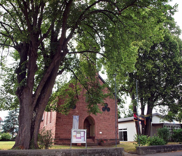 Die Linden bei der evangelischen Kirch...Erhaltung und Pflege wird aber teuer.   | Foto: Michael Haberer