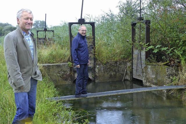 Vorarbeiten fr die Wiesenwsserung