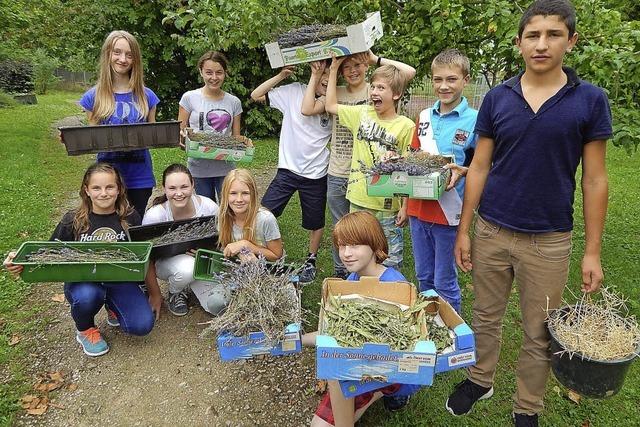 Garten statt Klassenzimmer