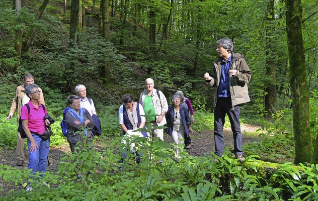 Bei der BUND-Exkursion zum Naturerlebn...nzen- und Tierwelt entlang des Weges.   | Foto: Martin Eckert