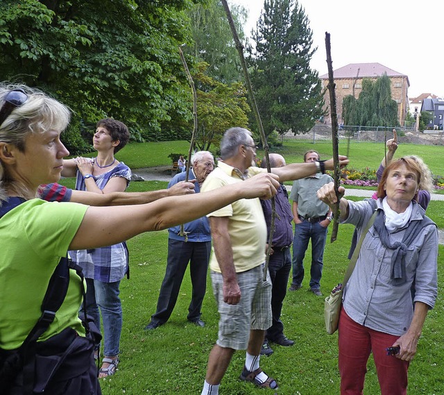 Baumhhen lassen sich mit Hilfe eines ...den Baum &#8211; den Taschentuchbaum.   | Foto: Fotos: cwe