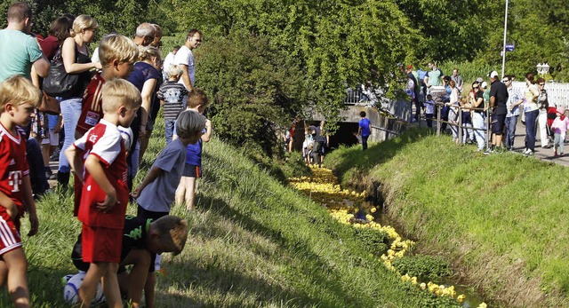 Gelbes Gedrnge am Start: 1450 Enten s...r wie noch nie verfolgten das Rennen.   | Foto: heidi fssel