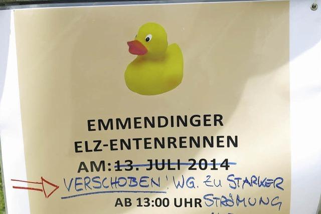 Enten bekamen kalte Fe