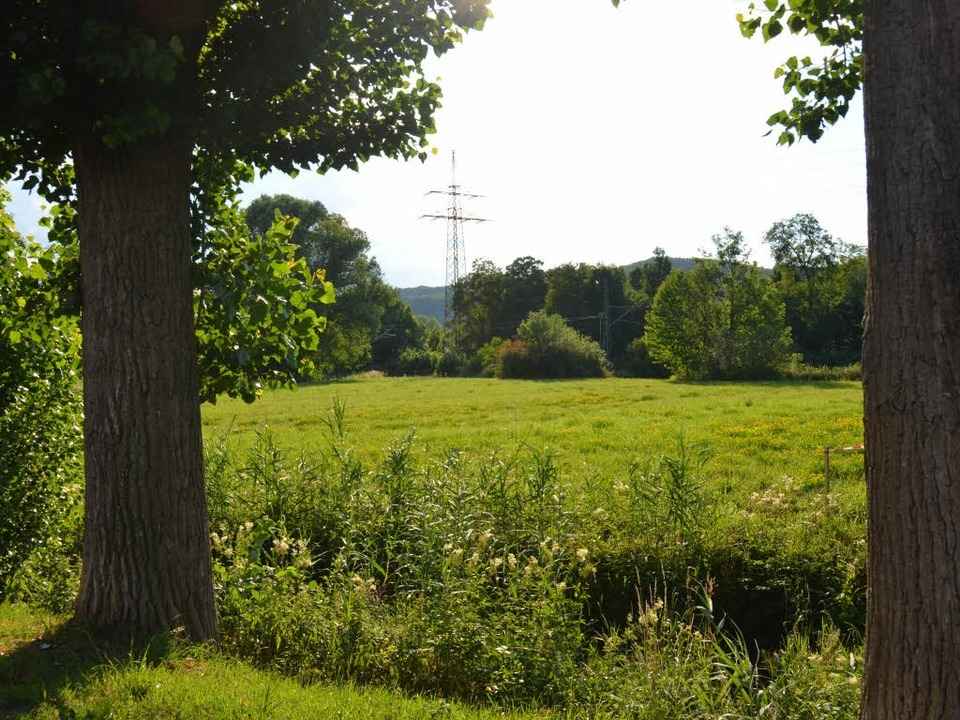 Was auf dem aktuell noch gr�nen Grunds...lante, wird es jedenfalls nicht sein.   | Foto: Trenz