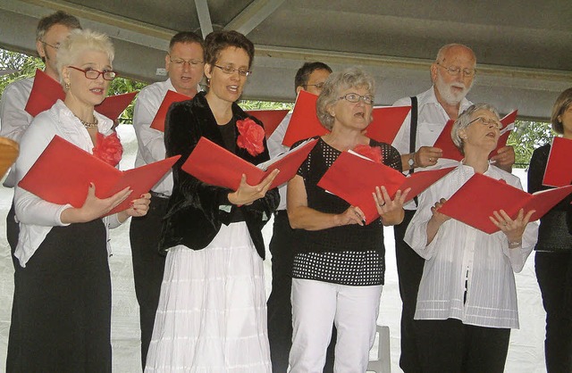 In heiterer Operetten-Laune prsentier... Vacono Dome trotz prasselnden Regens   | Foto: Roswitha Frey