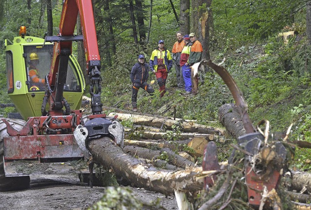 Den Ernstfall im Blick: Mitarbeiter des Forstamtes beim Fortbildungstag im Wald  | Foto: michael bamberger