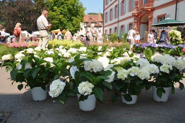 Seltene Pflanzen an historischem Ort