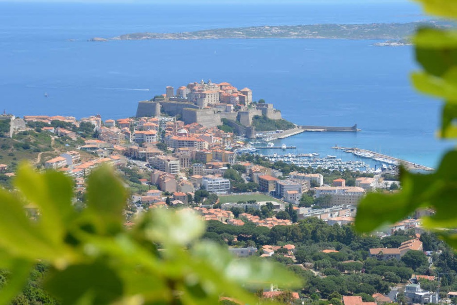 Blick auf Calvi (Foto: Birgit Herrmann) Blick auf Calvi (Foto: Birgit Herrmann)
