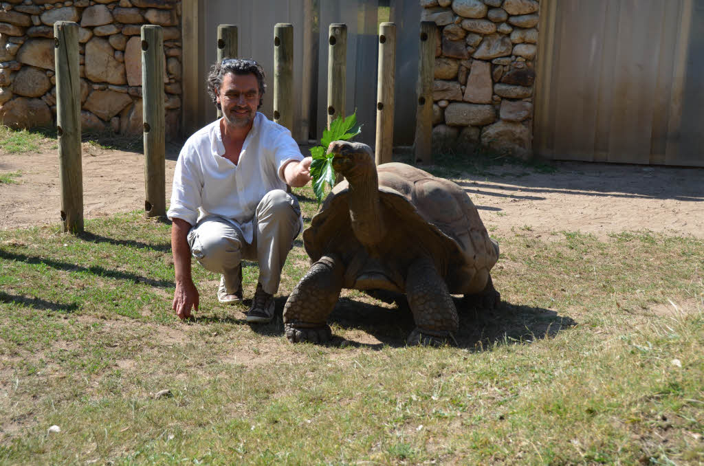 Zoo-Direktor und Tierarzt Pierre Moisson mit Galapagos-Schildkrte in A Cupulatta – einem Schildkrtenzoo bei Ajaccio