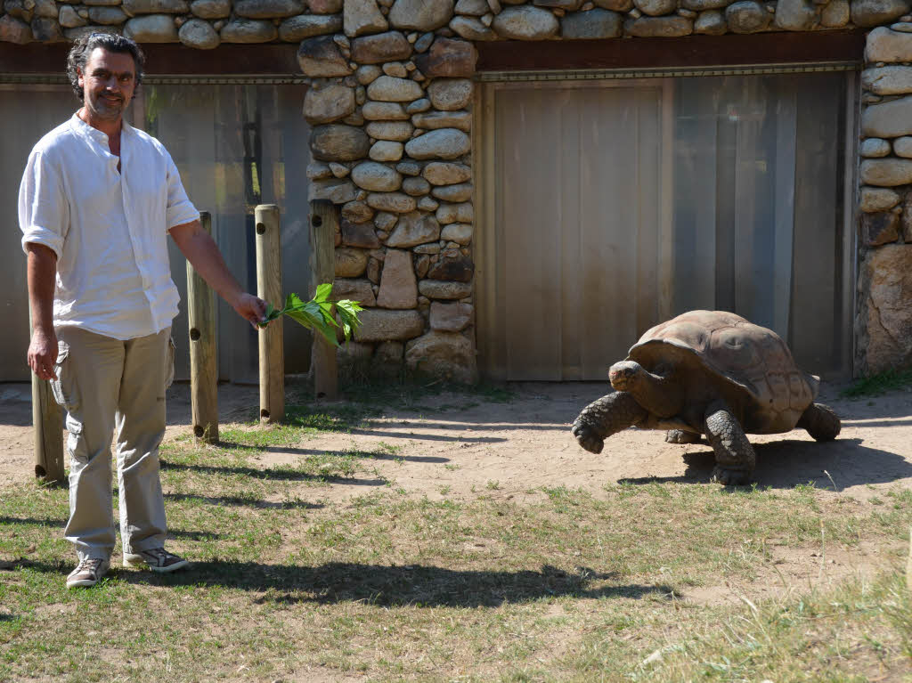 Zoo-Direktor Pierre Moisson mit Galapagos-Schildkrte in A Cupulatta – einem Schildkrtenzoo bei Ajaccio