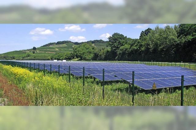 Sonnige Aussichten für den Solarpark