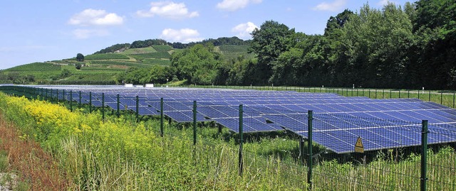 Der Solarpark Vogtsburg liegt in einem...tunden profitieren Natur und Anleger.   | Foto: Benjamin Bohn