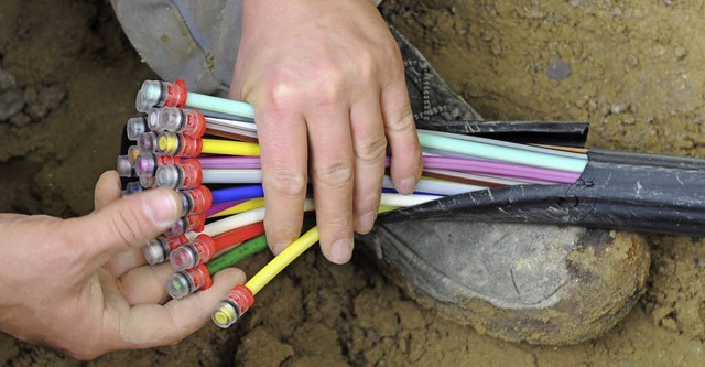 Jede Gemeinde und jeder Ortsteil im Kr... das Breitbandnetz angebunden werden.   | Foto: dpa