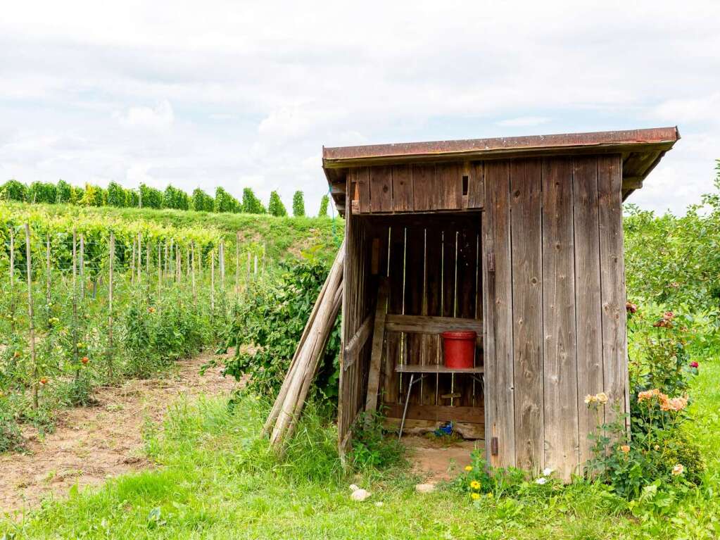 Zwischen Vogesen und Schwarzwald: der Tuniberg bei Freiburg