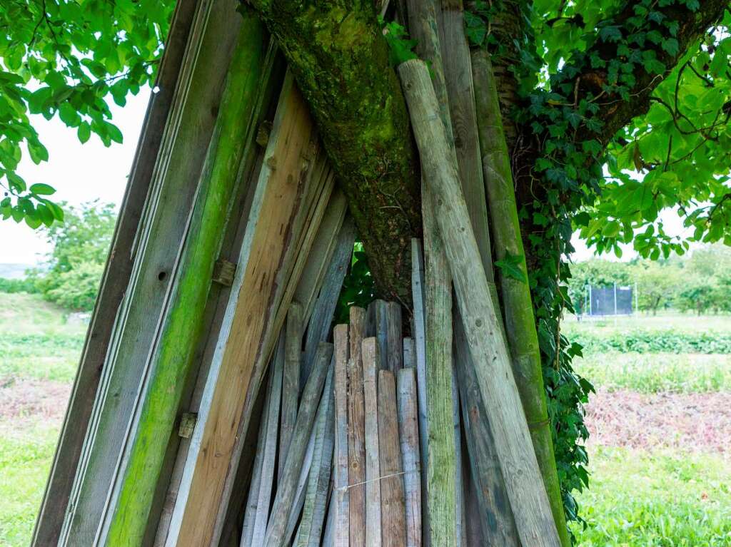 Zwischen Vogesen und Schwarzwald: der Tuniberg bei Freiburg